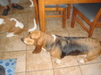 Enlarge photo 19