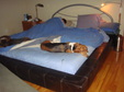 Enlarge photo 31