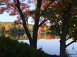 Enlarge photo 30