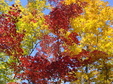 Enlarge photo 33