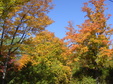 Enlarge photo 35