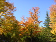 Enlarge photo 39