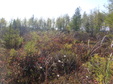 Enlarge photo 50