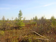 Enlarge photo 51