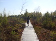 Enlarge photo 52