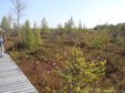 Enlarge photo 53
