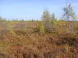 Enlarge photo 55