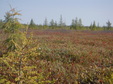 Enlarge photo 59