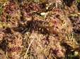 Enlarge photo 61