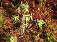 Enlarge photo 71