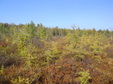 Enlarge photo 70