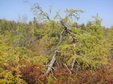 Enlarge photo 68