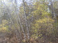 Enlarge photo 64