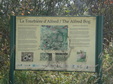 Enlarge photo 46
