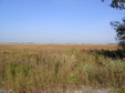 Enlarge photo 73