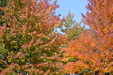 Enlarge photo 19