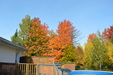 Enlarge photo 24