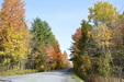 Enlarge photo 31