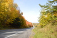 Enlarge photo 33