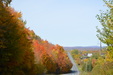 Enlarge photo 34