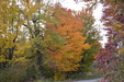 Enlarge photo 41
