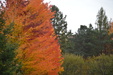 Enlarge photo 43