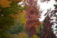 Enlarge photo 45