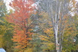Enlarge photo 46