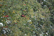 Enlarge photo 47