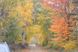 Enlarge photo 48