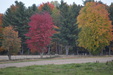Enlarge photo 49