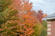Enlarge photo 55
