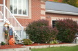 Enlarge photo 56