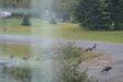 Fall 2018 visitors