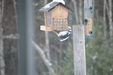 Enlarge photo 7