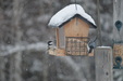 Enlarge photo 12