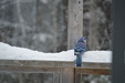 Enlarge photo 13