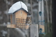 Enlarge photo 14