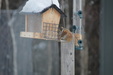Enlarge photo 15