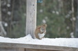 Enlarge photo 18
