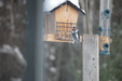 Enlarge photo 21