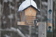 Enlarge photo 22