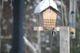 Enlarge photo 23