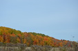 Enlarge photo 34