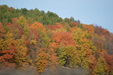 Enlarge photo 35