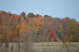 Enlarge photo 36
