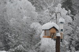 Enlarge photo 5