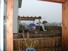 Enlarge photo 88
