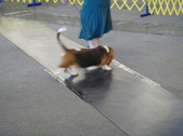 Enlarge photo 23