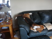 Enlarge photo 29